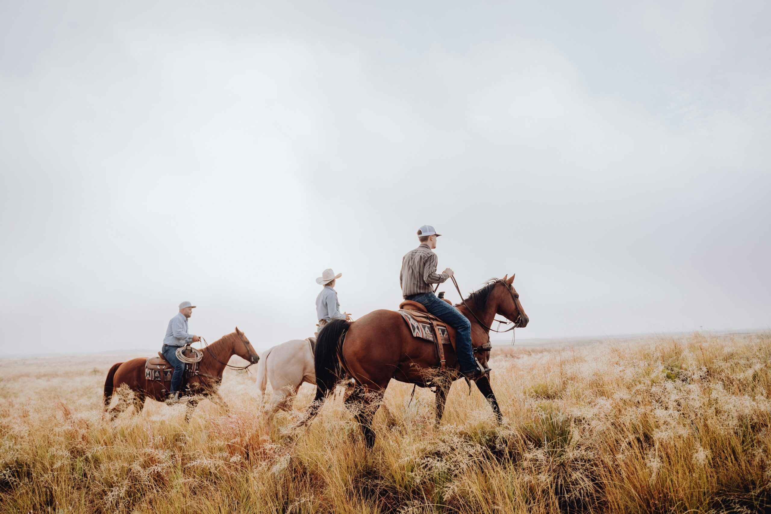 bailey-alexander-5N_BqTrWbpY-unsplash